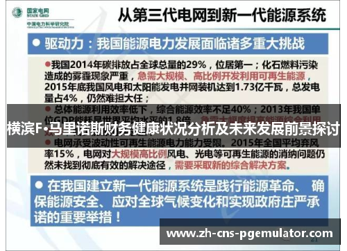 横滨F·马里诺斯财务健康状况分析及未来发展前景探讨